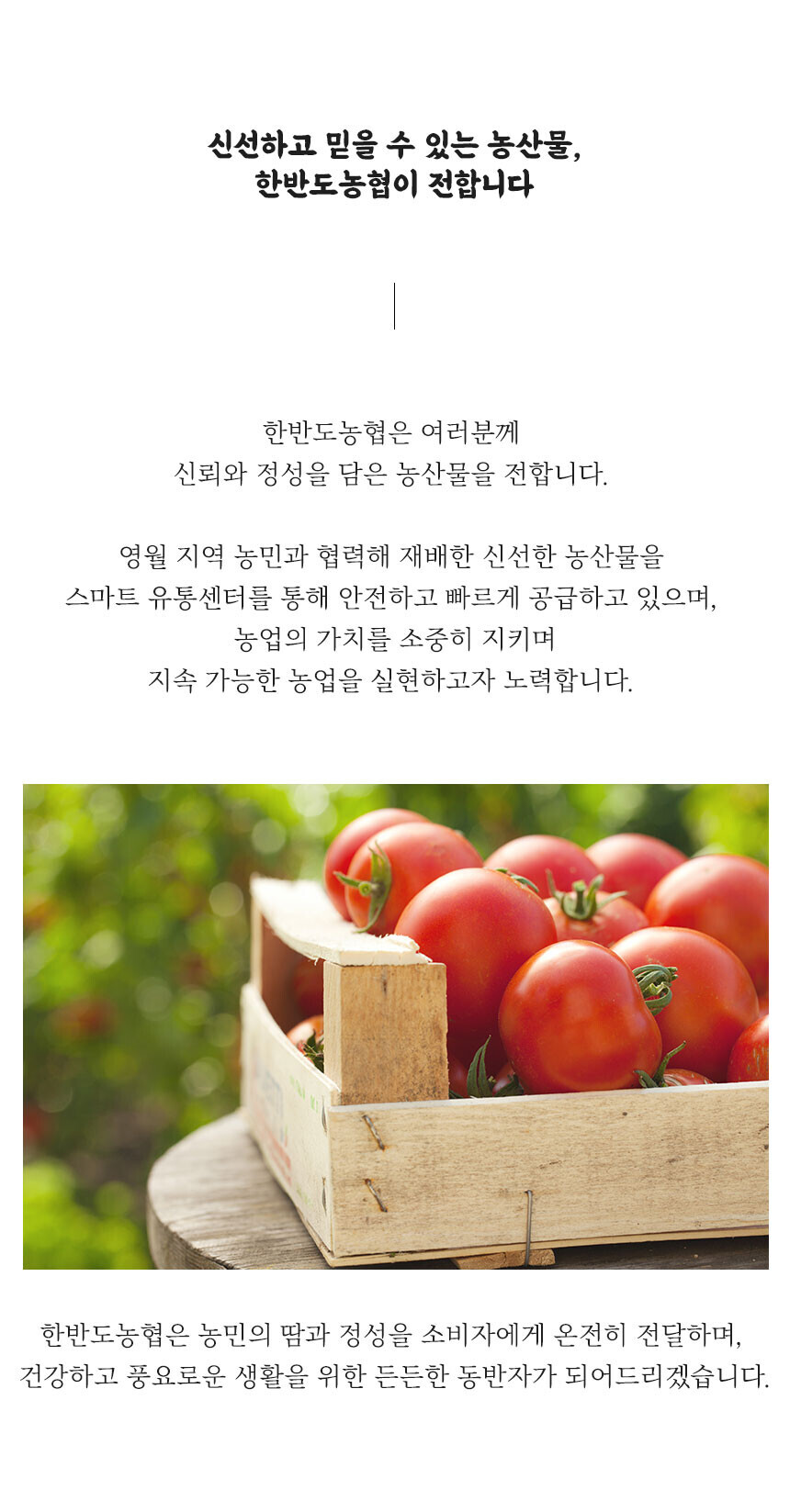 회사 이미지